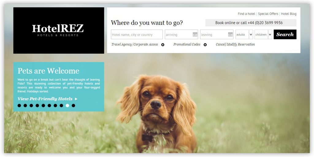 Pet-friendly website banners